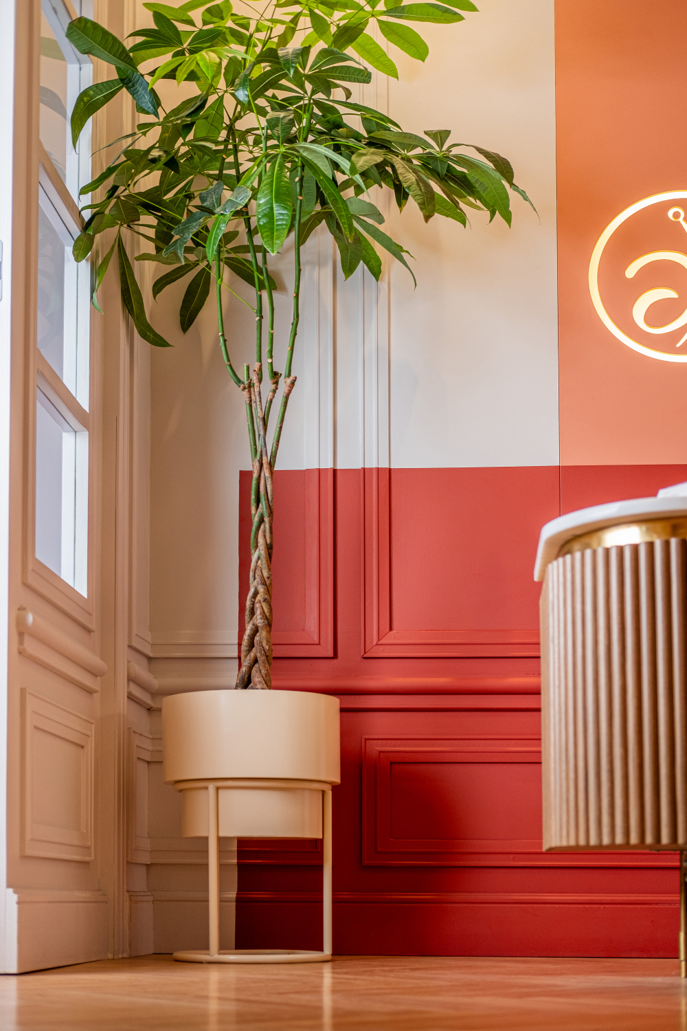 reception2_laser αποτρίχωση